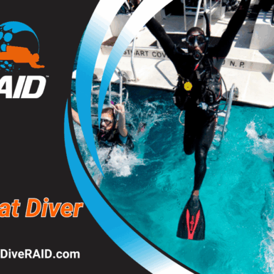 RAID Boat Diver