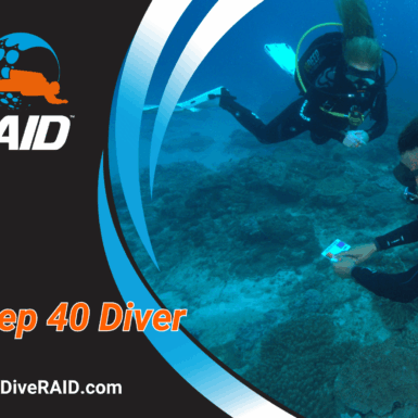 RAID Deep 40