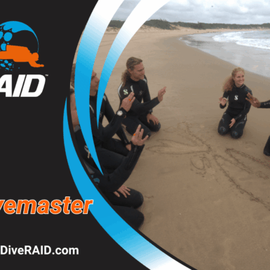 RAID Divemaster