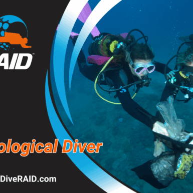 RAID Ecological Diver