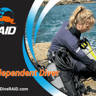 RAID Independent Diver