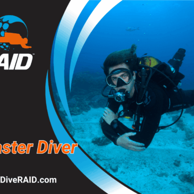 RAID Master Diver
