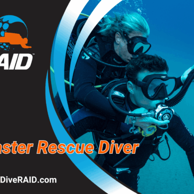RAID Master Rescue