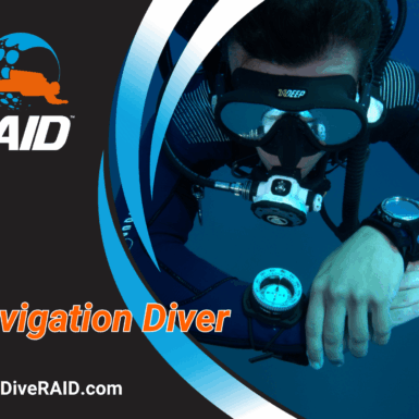 RAID Navigation Diver