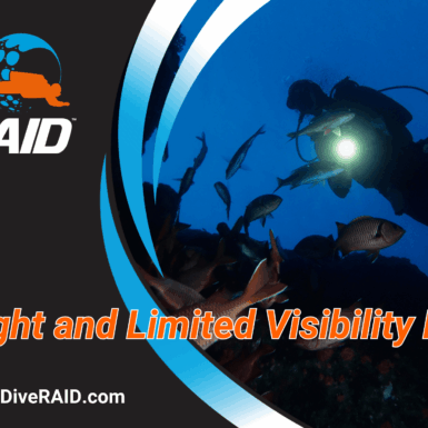 RAID Night and Limited Visibility Diver