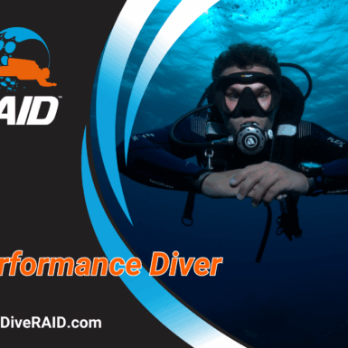 RAID Performance Diver