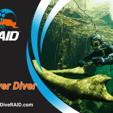 RAID River Diver