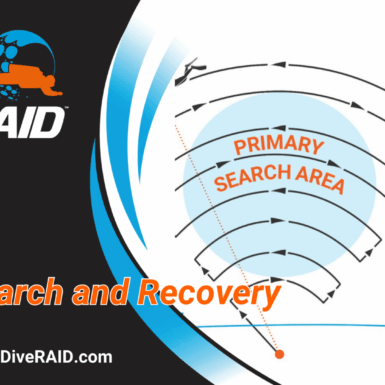 RAID Search and Recovery Diver