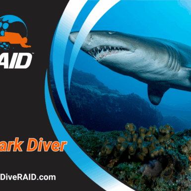 RAID Shark Diver