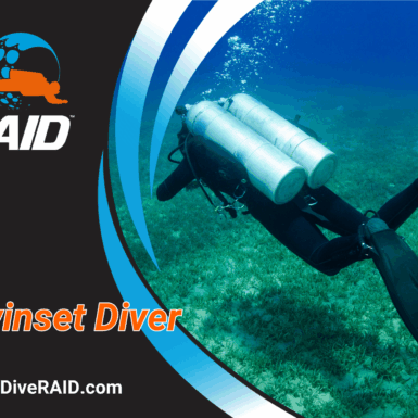 RAID Twinset Diver